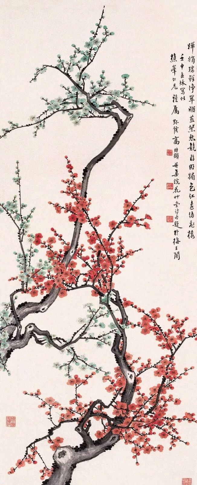 有关梅花的诗有哪些（赞美梅花的诗句欣赏） 第3张
