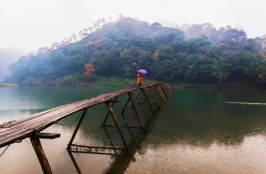 带有雨的诗句有哪些（带雨字的古诗词） 第11张
