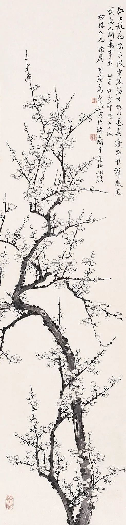有关梅花的诗有哪些（赞美梅花的诗句欣赏） 第9张