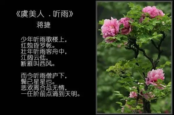 带有雨的诗句有哪些（带雨字的古诗词） 第13张