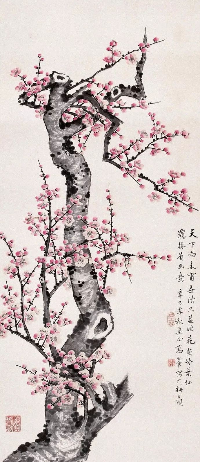 有关梅花的诗有哪些（赞美梅花的诗句欣赏） 第11张