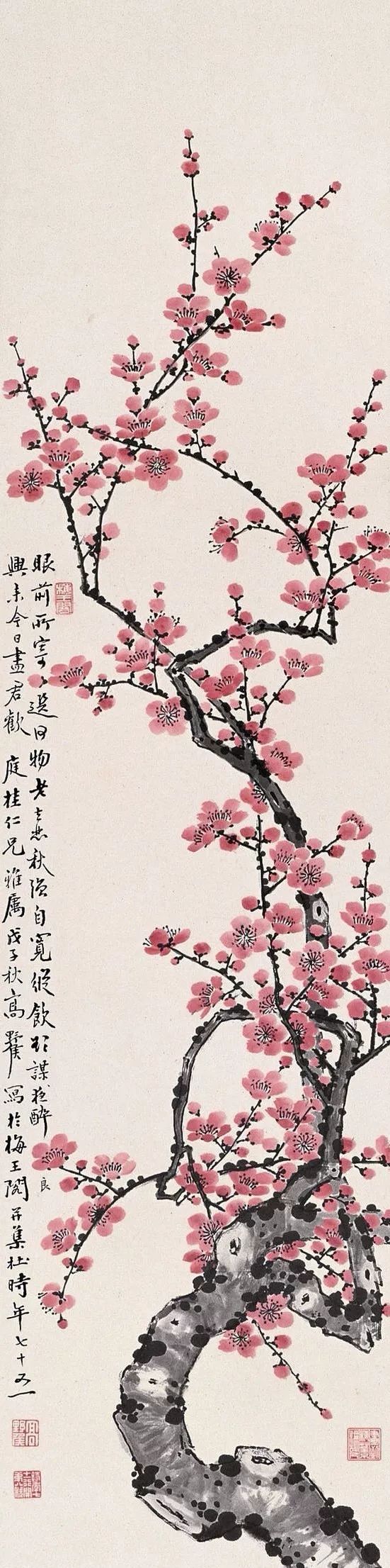 有关梅花的诗有哪些（赞美梅花的诗句欣赏） 第13张