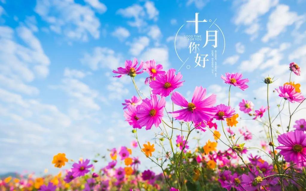 描写十月的诗句有哪些（十月的诗句唯美） 第1张