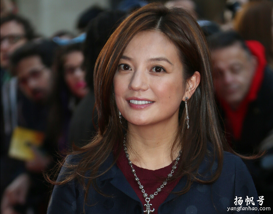 小燕子变“大资本”，联手马云一天狂赚23亿，与老公关系却有猫腻 第11张