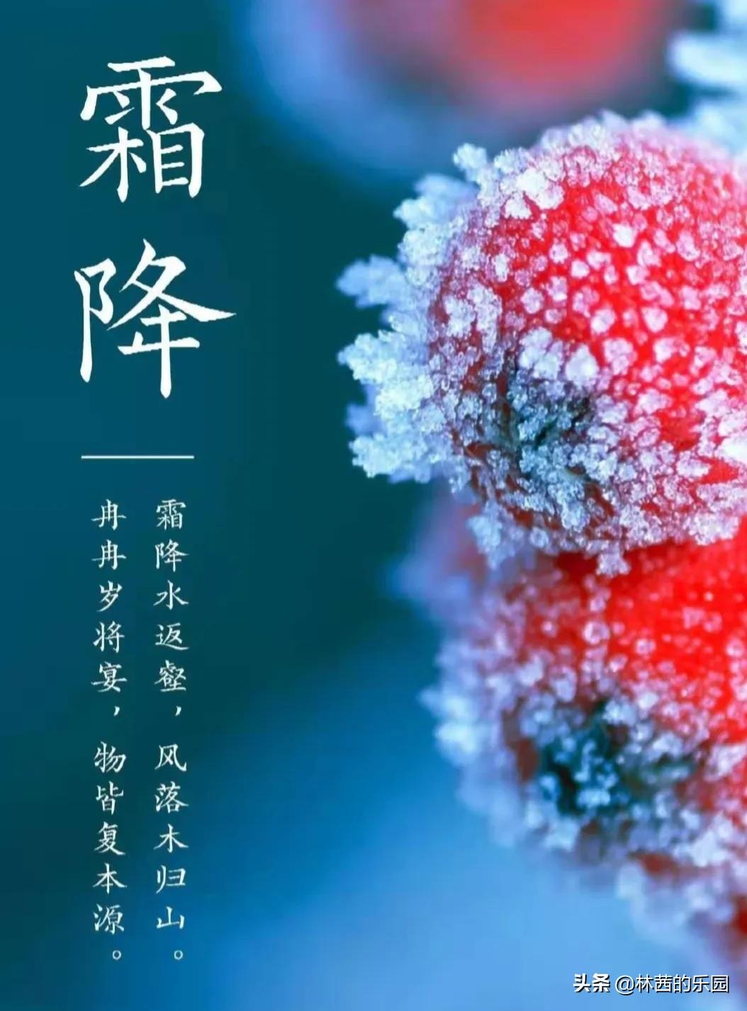 描写霜降的诗句古诗词（写霜降的诗句古诗大全） 第3张