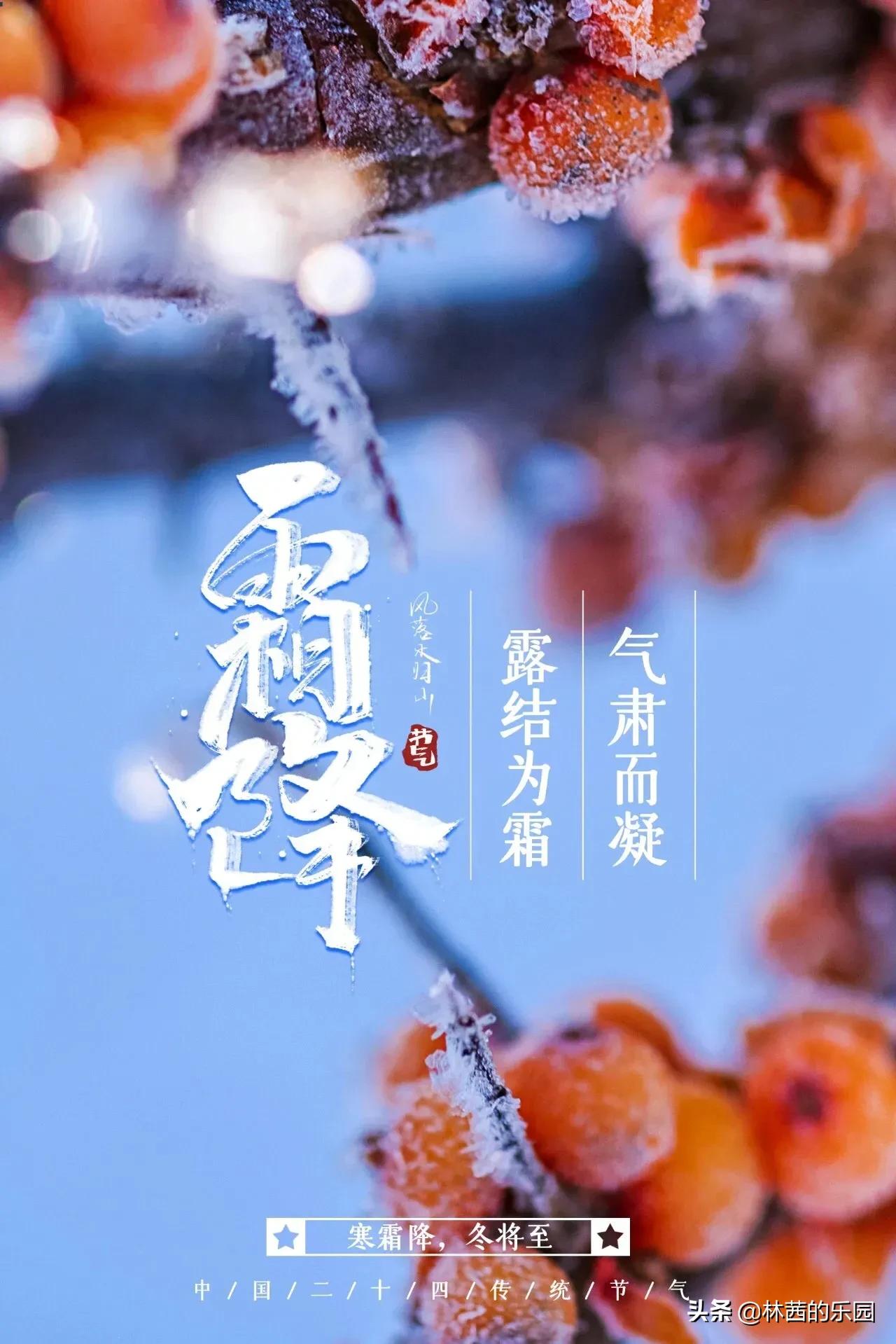 描写霜降的诗句古诗词（写霜降的诗句古诗大全） 第7张