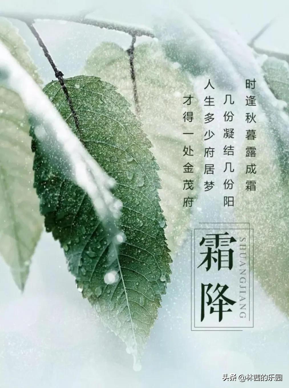 描写霜降的诗句古诗词（写霜降的诗句古诗大全） 第9张