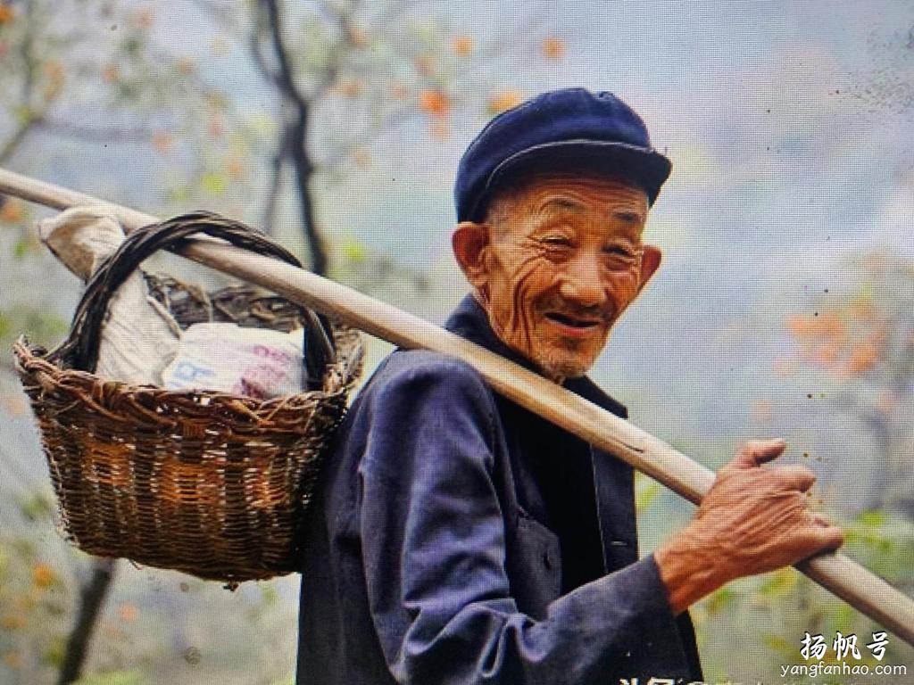 任泽平：是辟谣，还是贴金？ 第5张