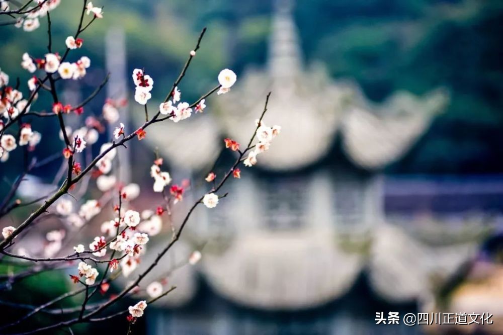 文言文大全哲理句子（有深度有哲理的文言文句子） 第1张
