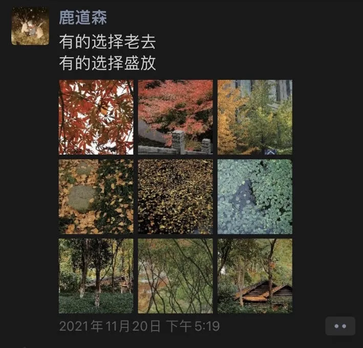 摄影师鹿道森自杀背后：没考好被踢，因看起来像女孩子被校园霸凌 第25张