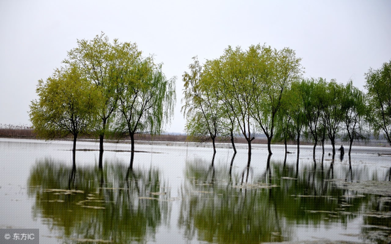 登岳阳楼二首陈与义赏析（登岳阳楼陈与义赏析简短） 第5张