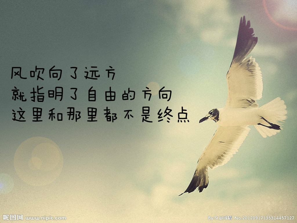 现代诗歌鉴赏（经典现代诗赏析大全） 第1张