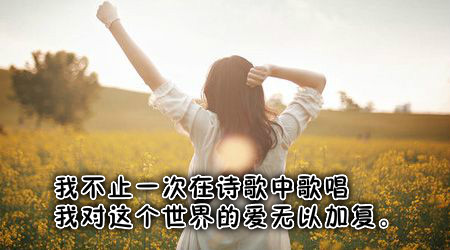 现代诗歌鉴赏（经典现代诗赏析大全） 第3张