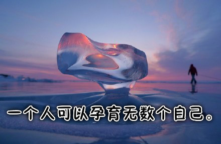 现代诗歌鉴赏（经典现代诗赏析大全） 第9张