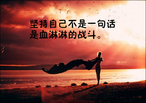 现代诗歌鉴赏（经典现代诗赏析大全） 第17张