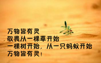 现代诗歌鉴赏（经典现代诗赏析大全） 第19张