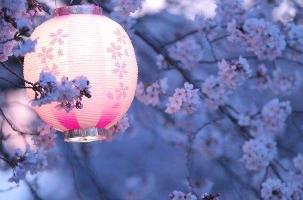 樱花古诗词鉴赏（黄琬巧对的意思翻译） 第31张