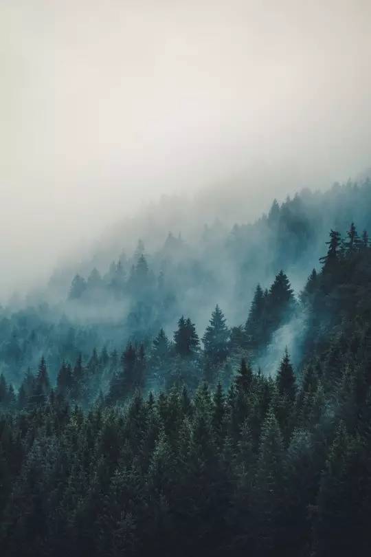 王维的代表作有哪些（王维必背的十首经典诗） 第5张