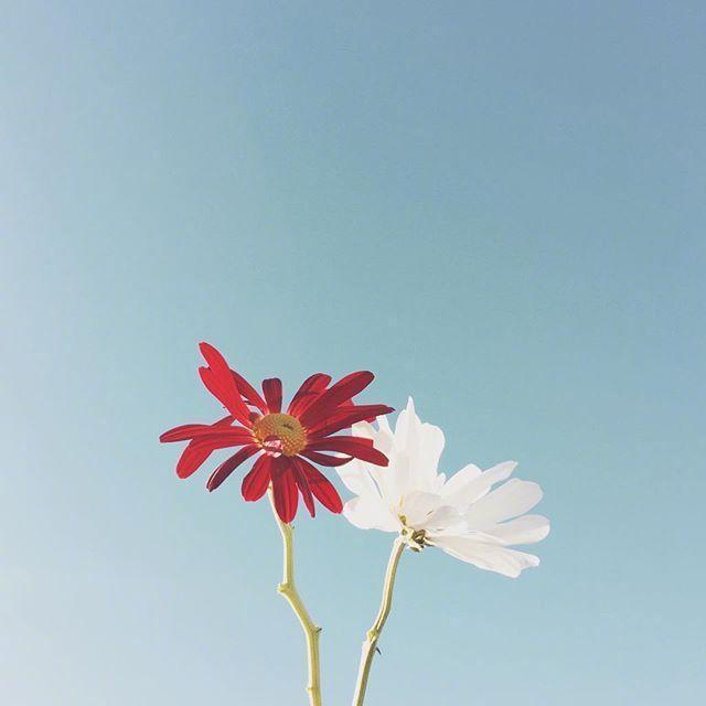 母亲节祝福语简短语句（写一句表达对妈妈爱的话） 第1张