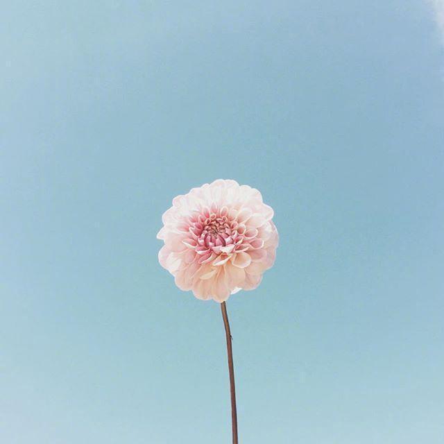 母亲节祝福语简短语句（写一句表达对妈妈爱的话） 第3张