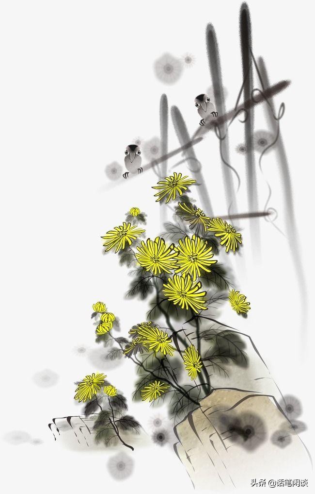 描写景物的诗句有哪些（描写景物的诗词及赏析） 第7张