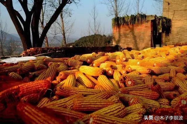 有关颜色的现代诗有哪些（爱的颜色现代诗歌） 第3张