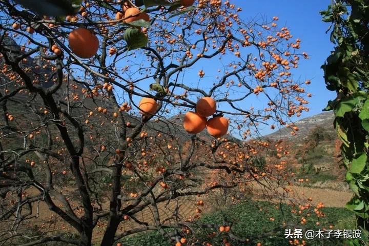 有关颜色的现代诗有哪些（爱的颜色现代诗歌） 第5张
