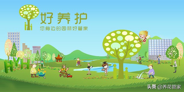 赞美桂花香的诗句有哪些（描写桂花香的诗句大全 ） 第7张