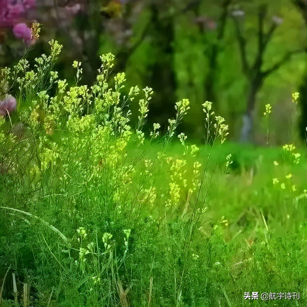 古诗词朗诵经典名篇（十首最美的古诗词朗诵） 第1张