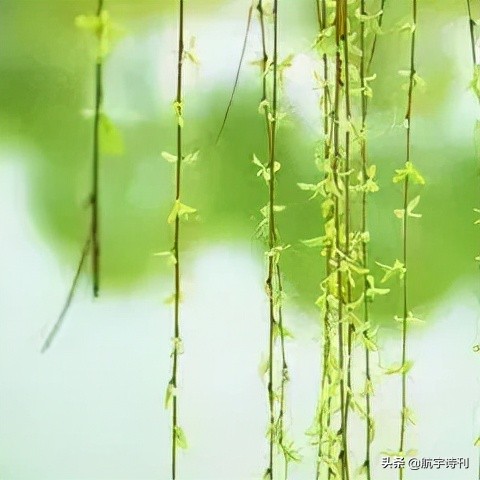 古诗词朗诵经典名篇（十首最美的古诗词朗诵） 第3张