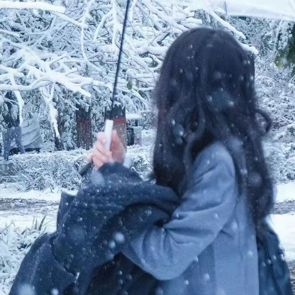 关于下雪的文案简短（描写唯美的下雪文案） 第5张