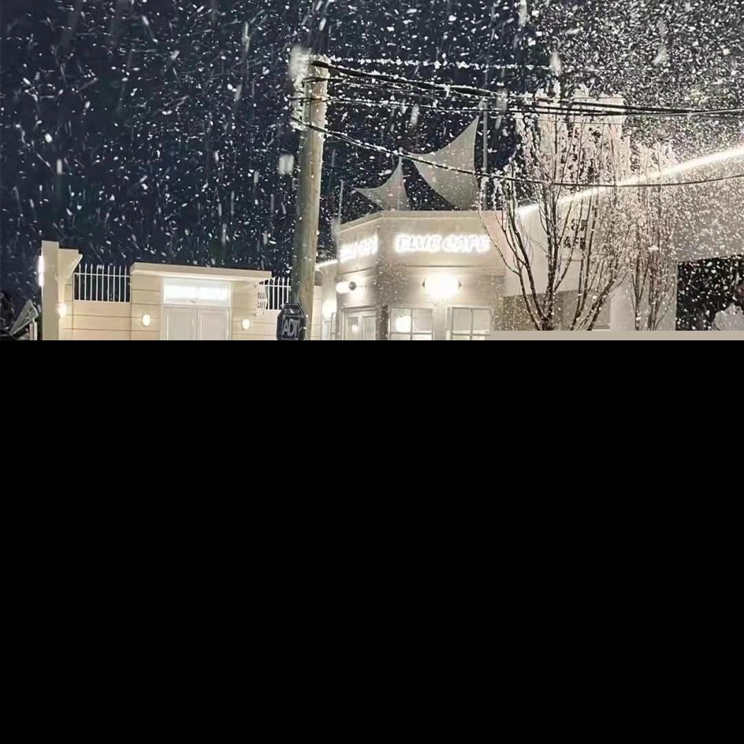 关于下雪的文案简短（描写唯美的下雪文案） 第15张