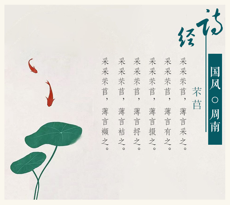 采采芣苢全文翻译（芣苢原文及注音） 第1张