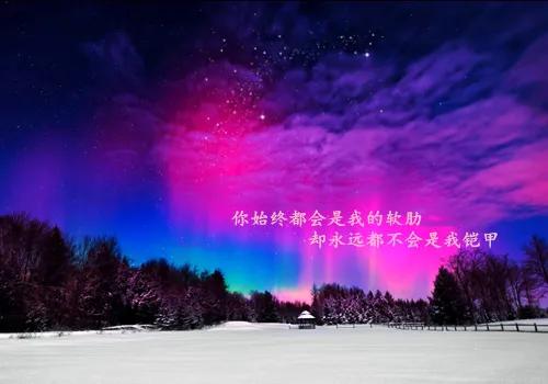 计划的重要性的名言（关于计划的名人名言） 第5张