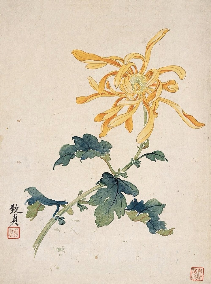赞美花的优美诗句大全（关于花的经典诗词唯美） 第7张