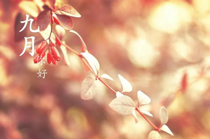 描写登高望远的诗句（形容登高看风景的诗） 第1张