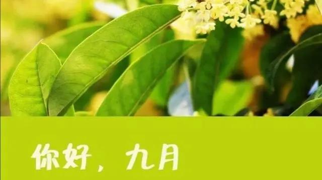 描写登高望远的诗句（形容登高看风景的诗） 第11张