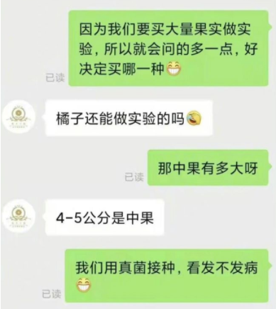 为国家科研捐橘子的网店火了，老板出面回应，直呼“理性消费！” 第3张