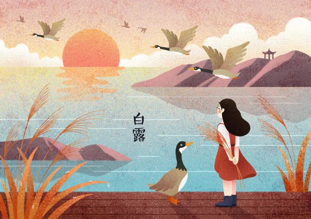 白露诗句古诗大全（描写白露的诗词句子） 第9张