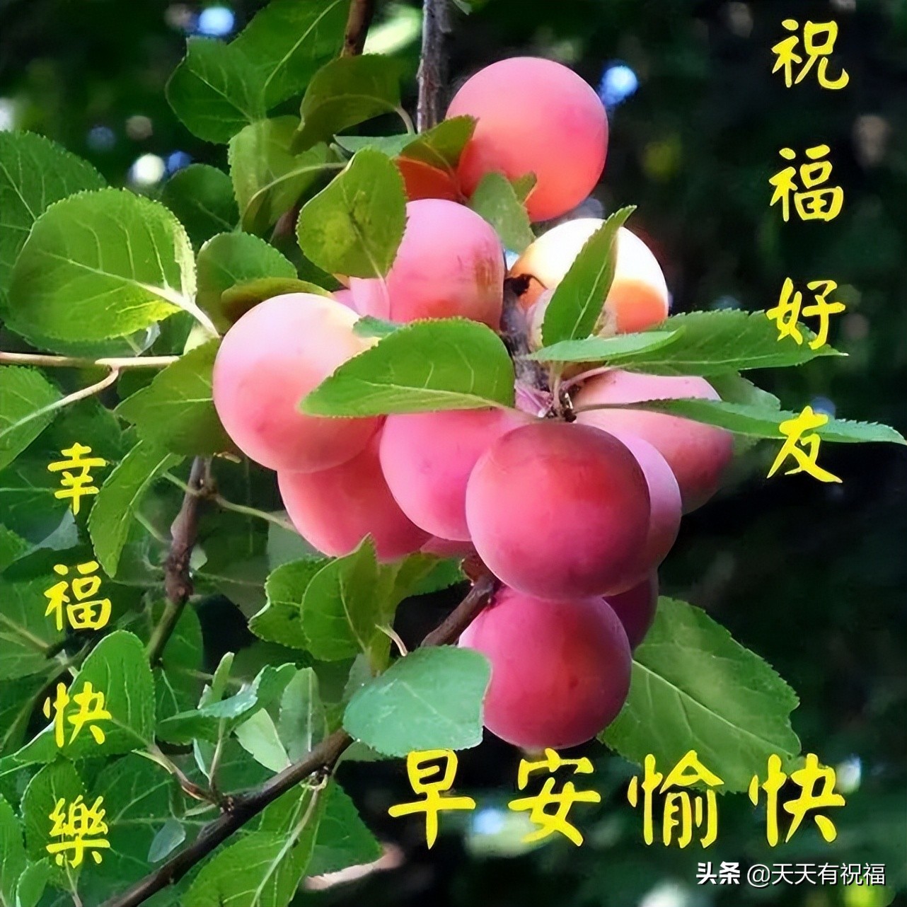 早安朋友圈文案（早安文案简短吸引人） 第1张