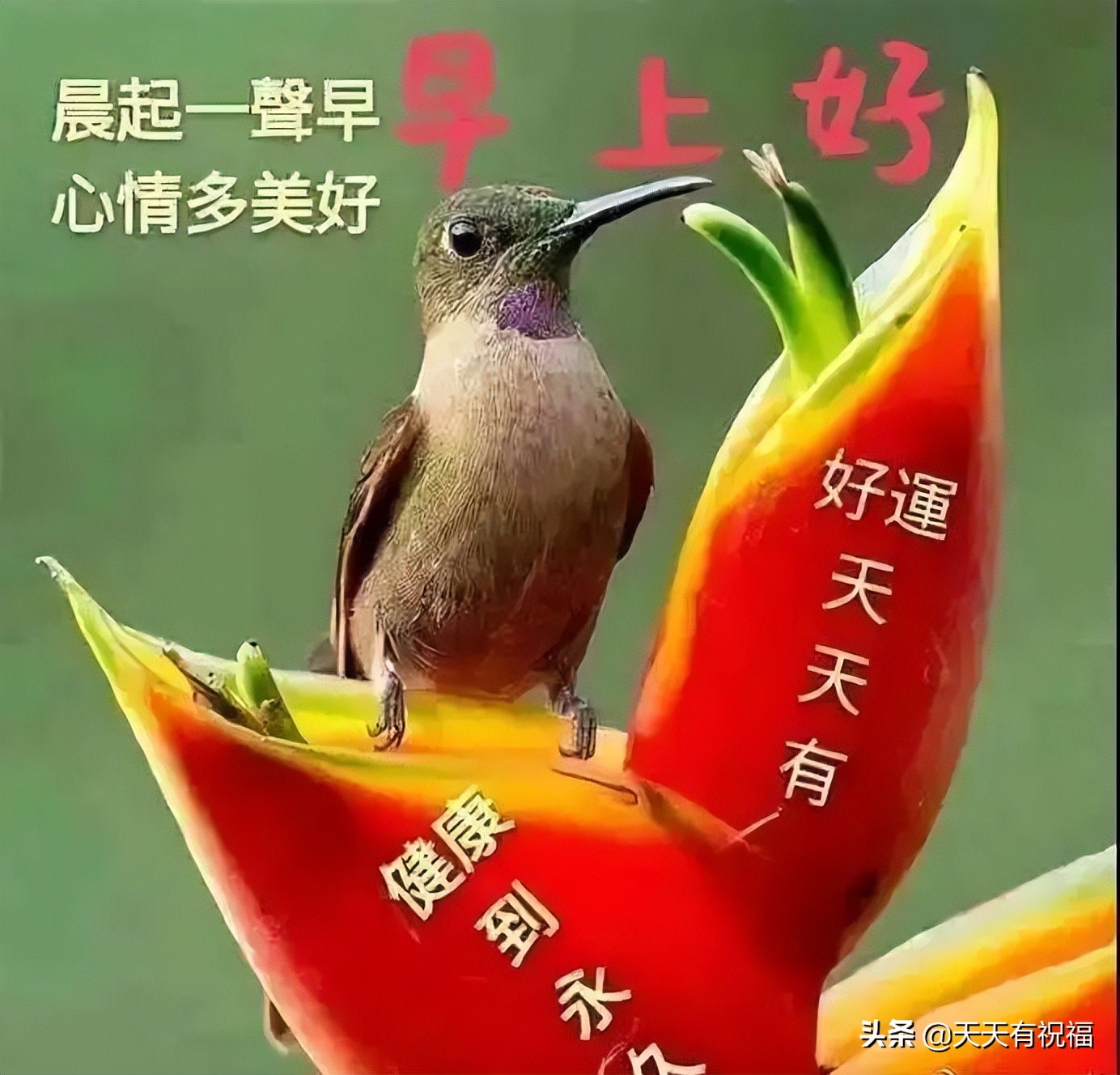 早安朋友圈文案（早安文案简短吸引人） 第3张
