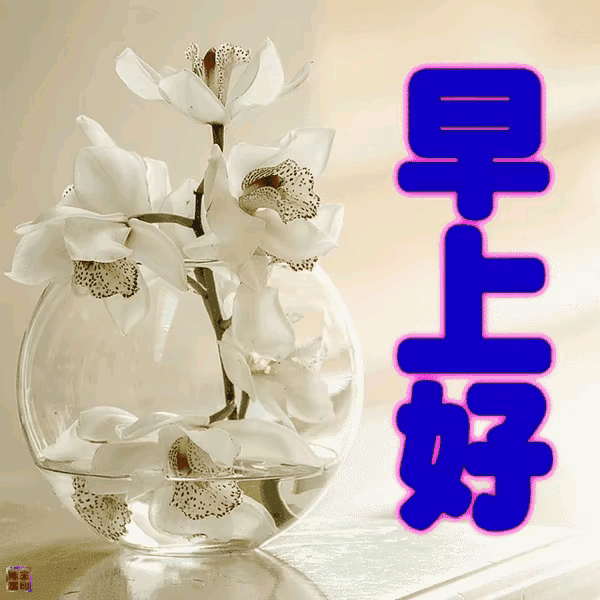 早安朋友圈文案（早安文案简短吸引人） 第9张
