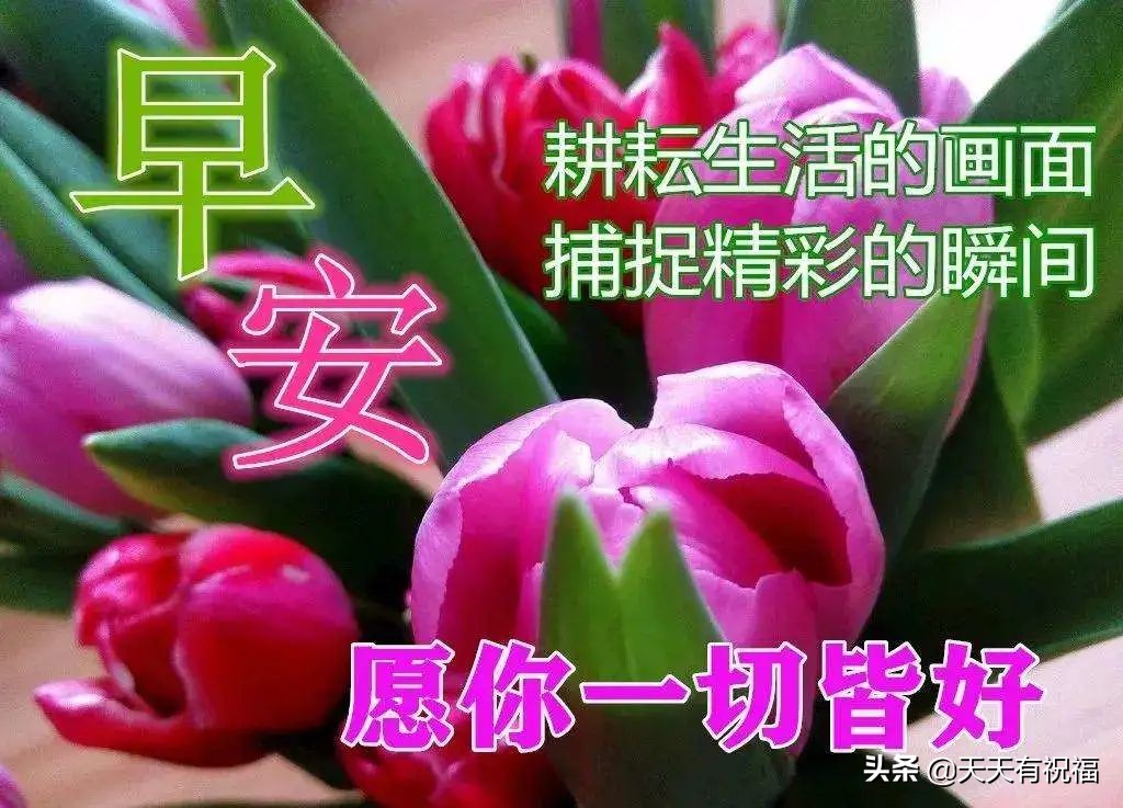早安朋友圈文案（早安文案简短吸引人） 第11张