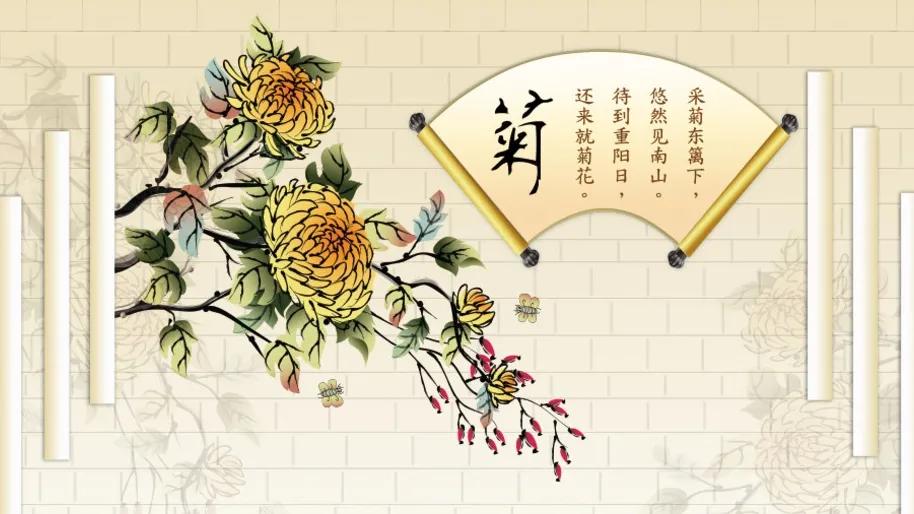 描写菊花的词语有哪些（描写菊花的优美词语） 第1张