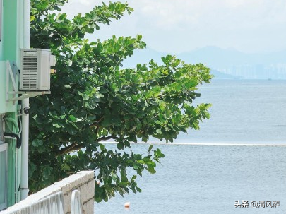 英文爱情个性签名（唯美浪漫的爱情签名） 第3张
