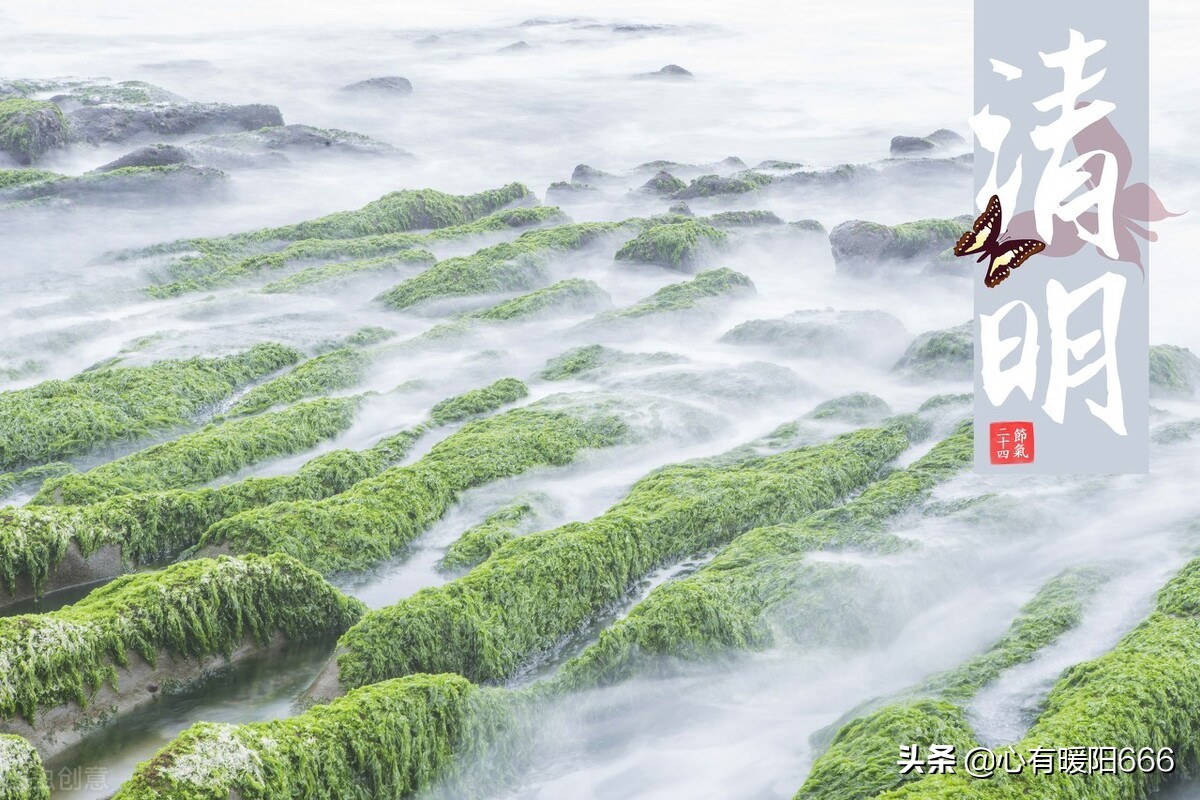纪念烈士的短句子（向英雄致敬短句） 第1张