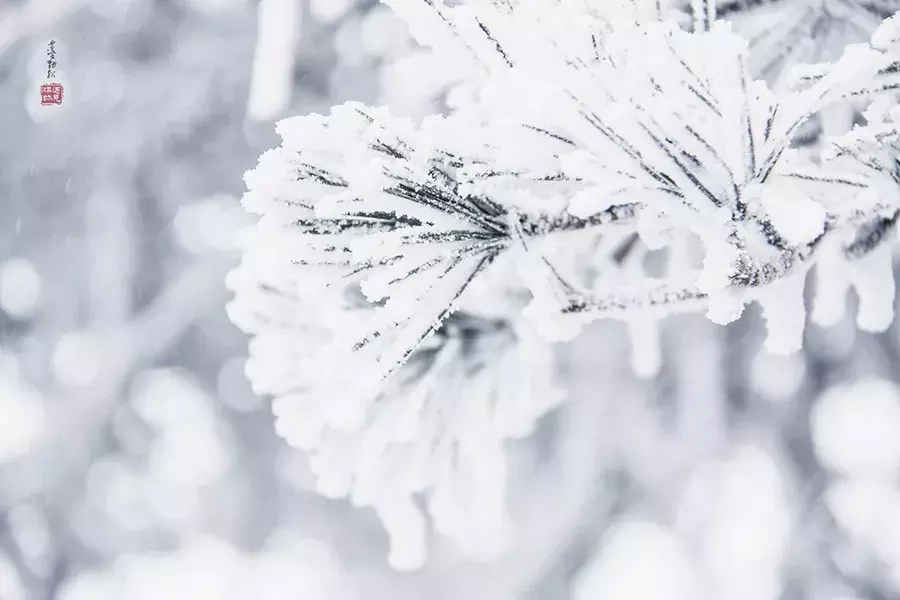 关于冬天的诗词现代（冬天唯美的现代诗） 第15张