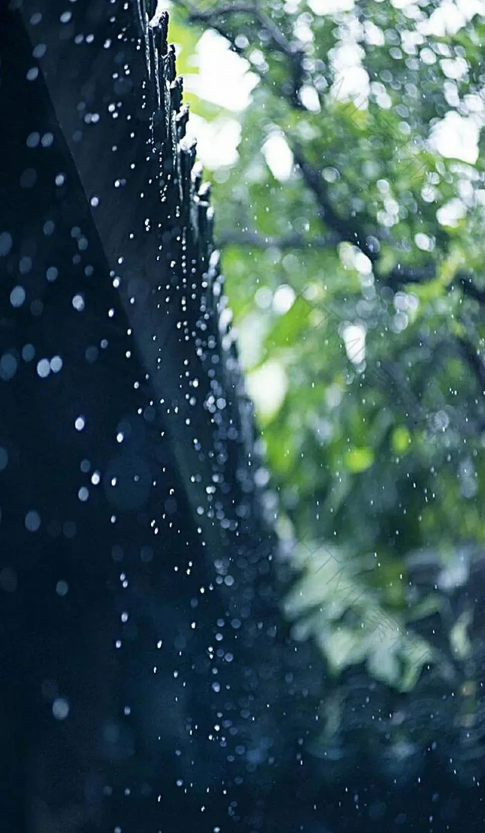 听雨的诗句古诗大全（山中听雨的唯美句子） 第3张