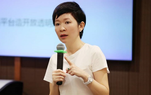 戴珊是谁?（戴珊与阿里巴巴的22年） 第1张