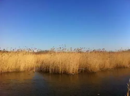 纳兰性德的词有什么（纳兰容若最有名的词欣赏） 第3张